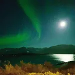 Lyngen Brygge * Aroybukta