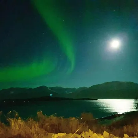 Lyngen Brygge * Aroybukta