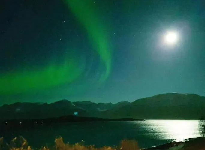 Lyngen Brygge * Aroybukta
